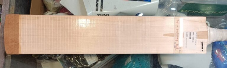 How to Choose a Cricket Bat: Complete Guide 2026