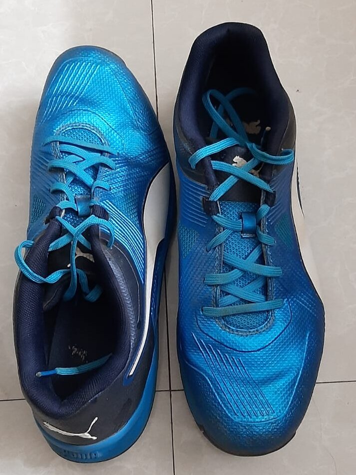 Puma 19.1 Cricket Spikes Shoes